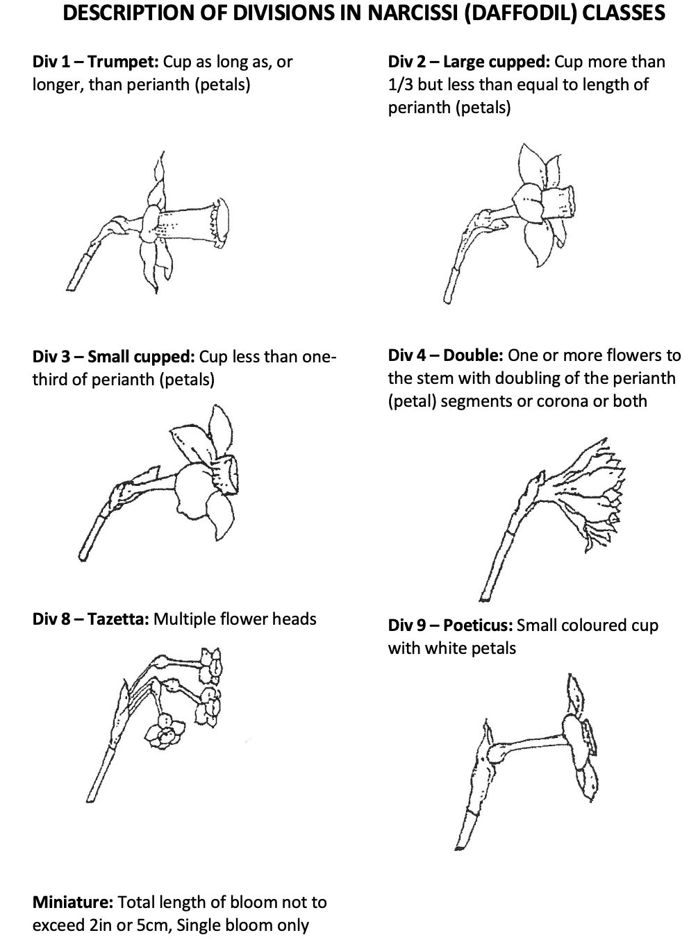 Screenshot 2024-12-31 at 20.23.20